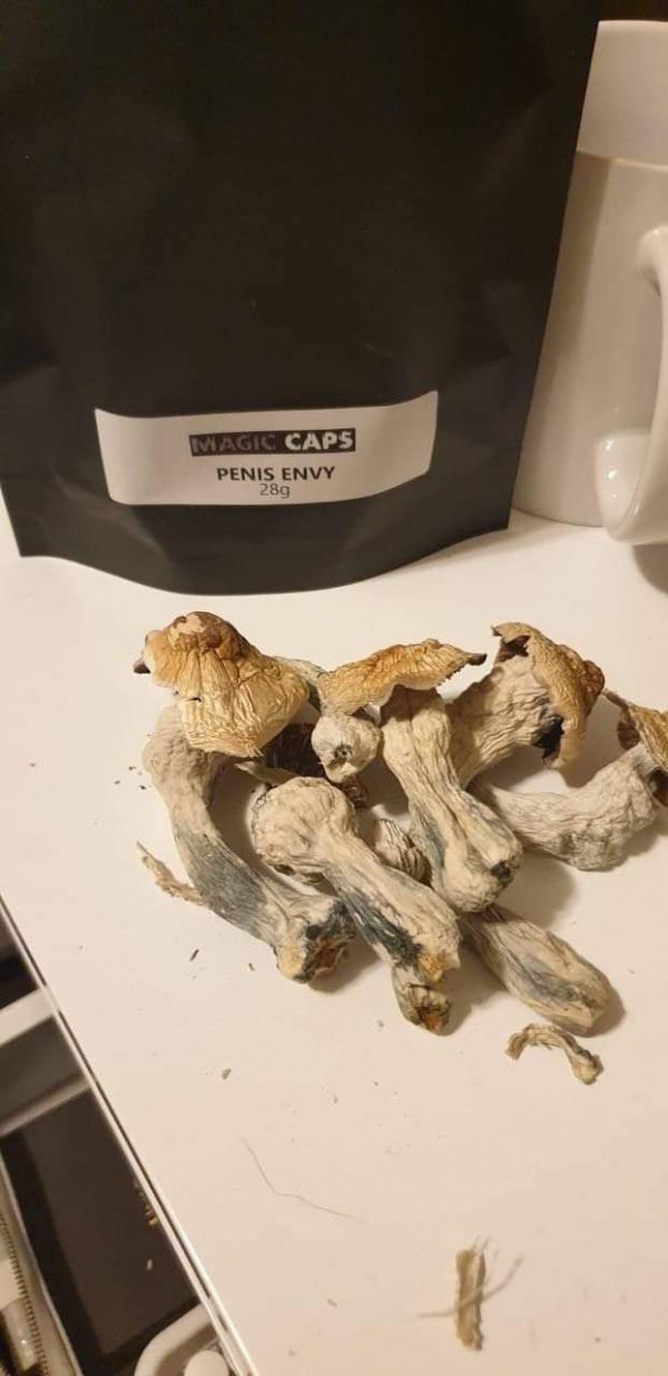 Penis envy Shrooms
