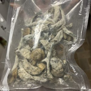 Hillbilly Melmac Mushroom