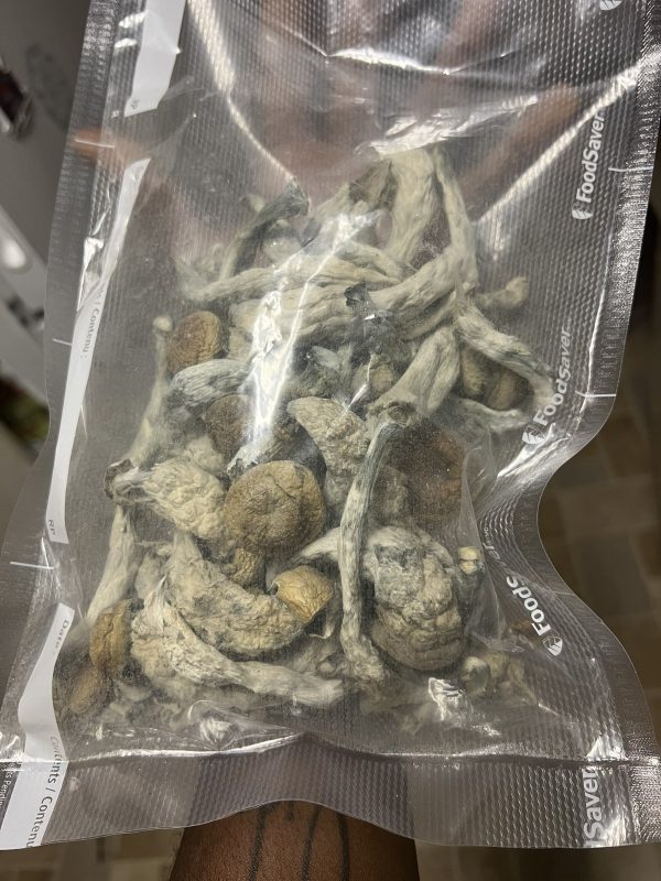 Hillbilly Melmac Mushroom