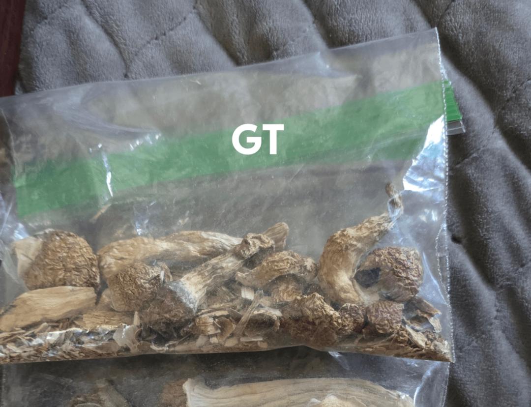 Golden teacher mushrooms in uk