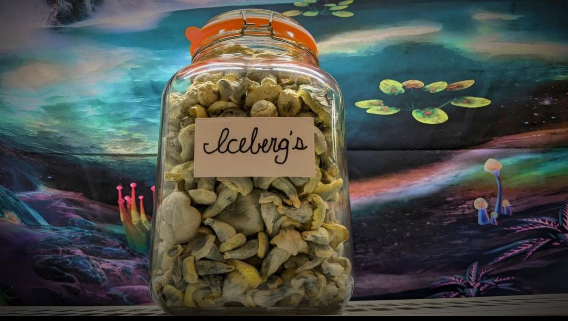 Buy magic mushrooms Dorset