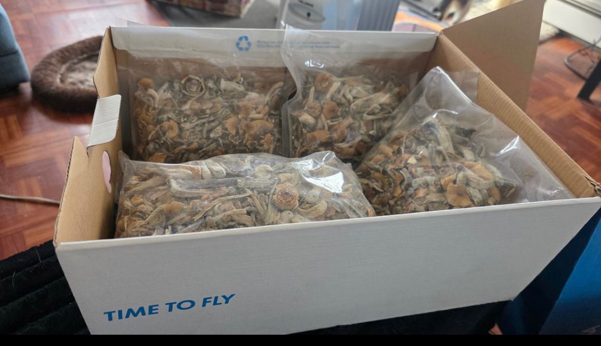 Buy magic mushrooms around Broxbourne