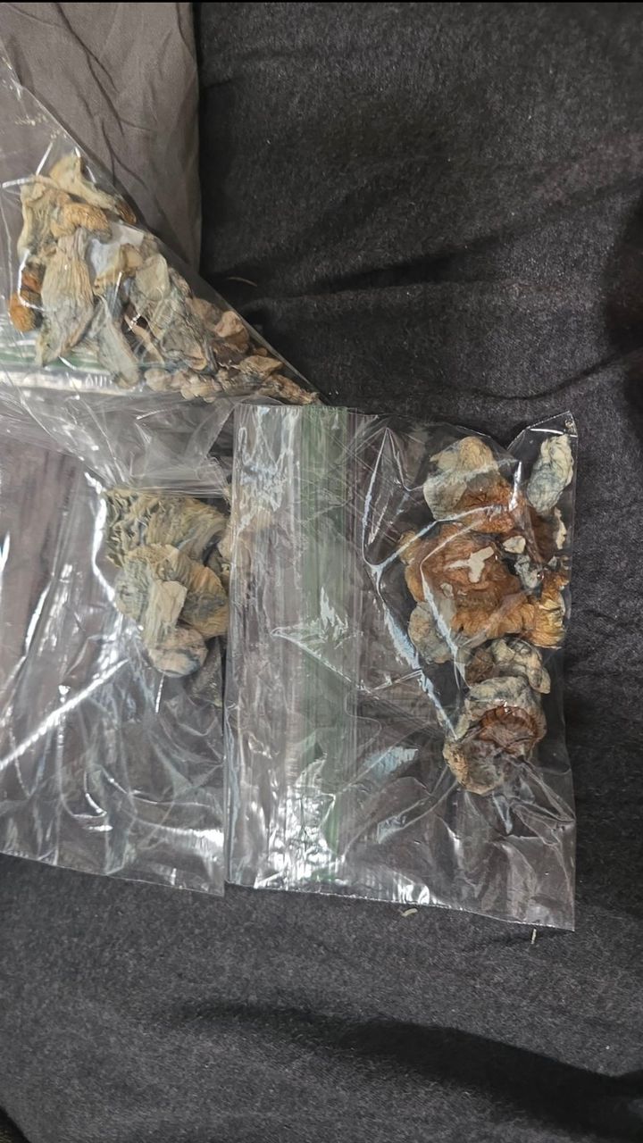 magic mushrooms Around Huddersfield