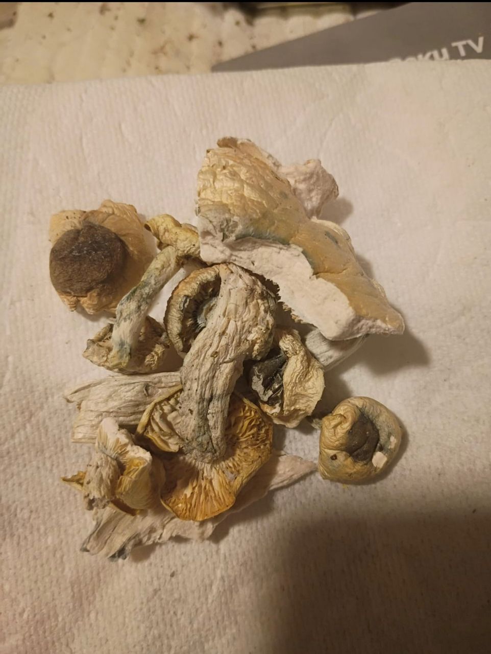 magic mushrooms at party