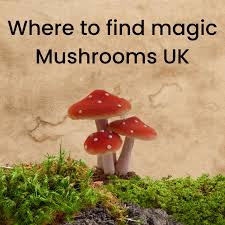 Where to find liberty caps near me