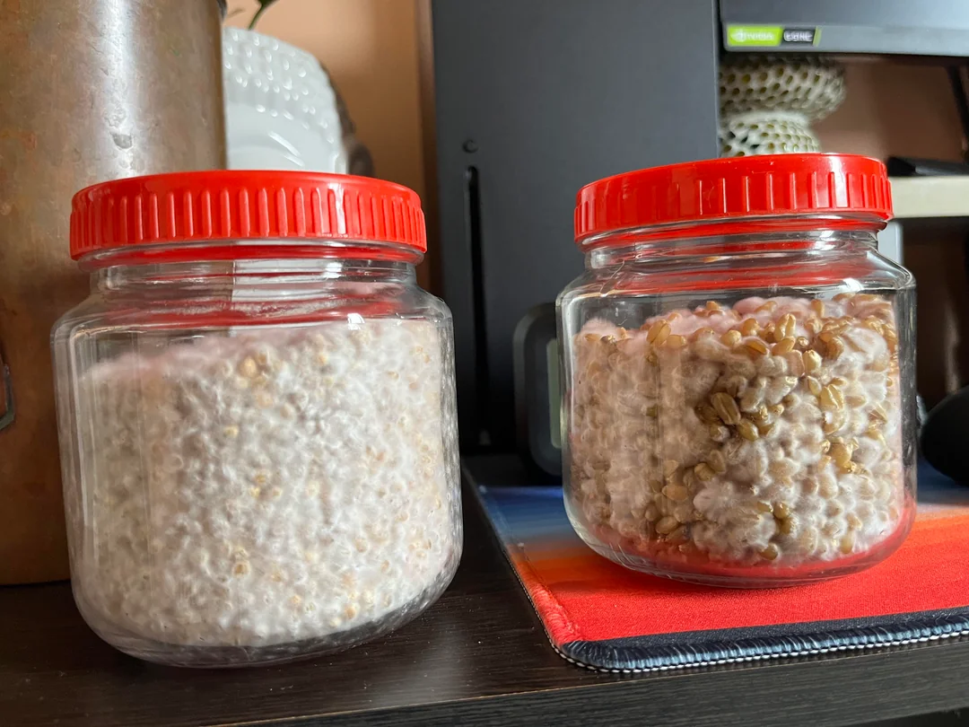 magic mushrooms Wiltshire