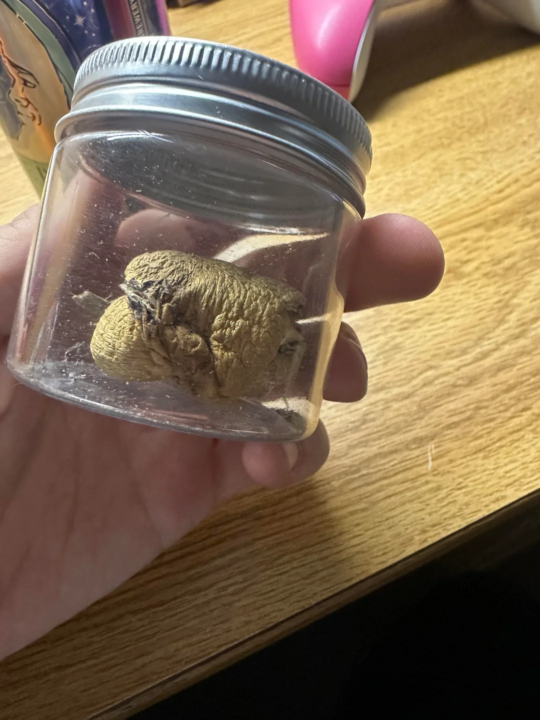 Microdosing psilocybin mushrooms