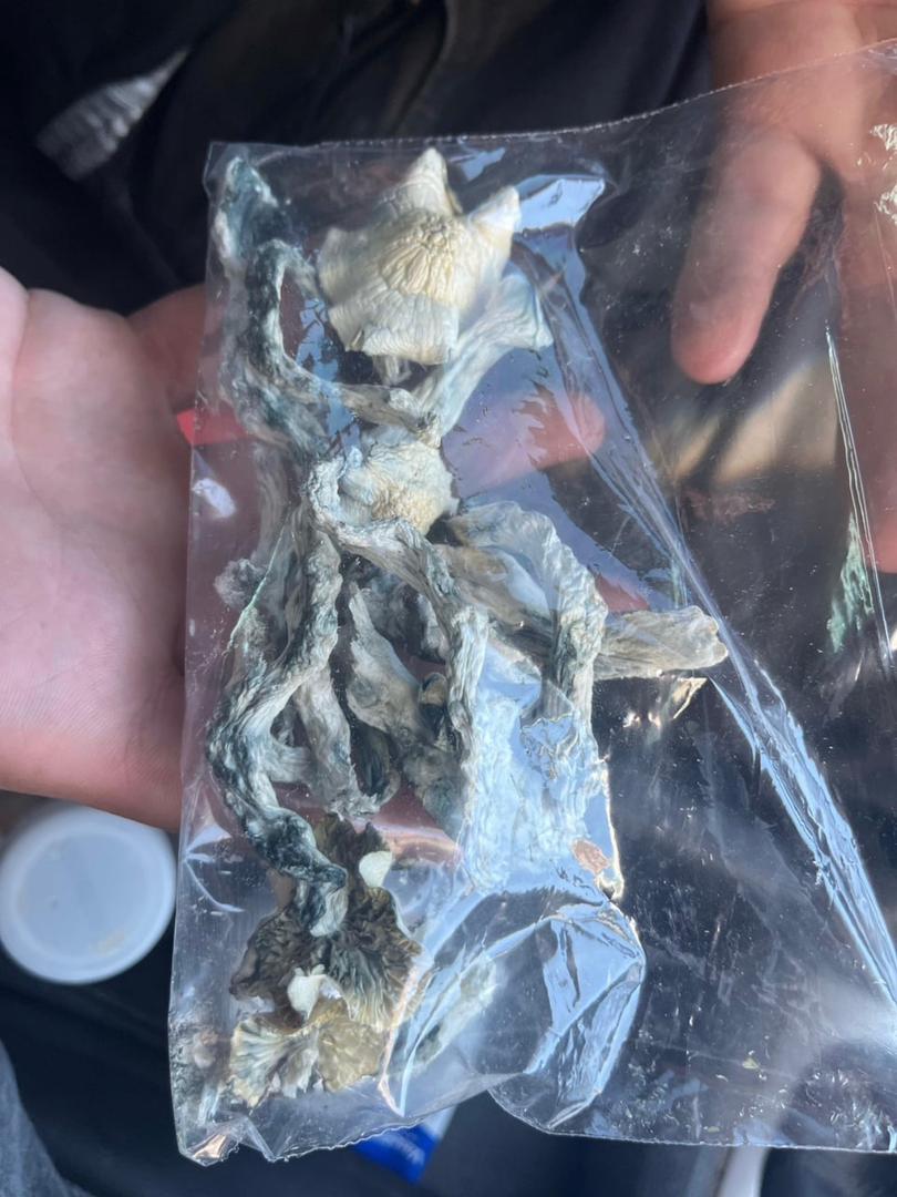 BUY PSILOCYBIN ONLINE