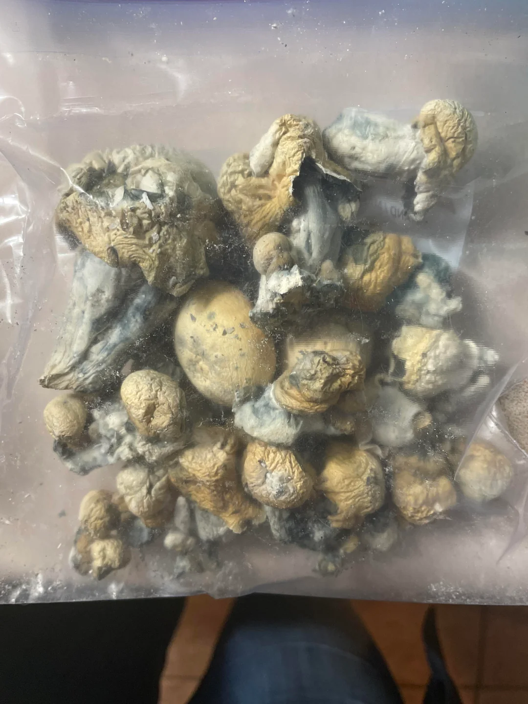 buy magic mushrooms online