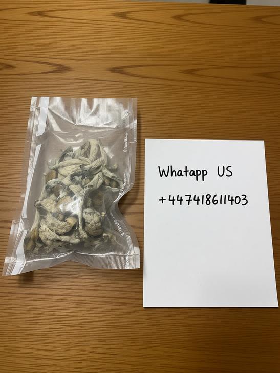 safe ways to consume magic mushrooms