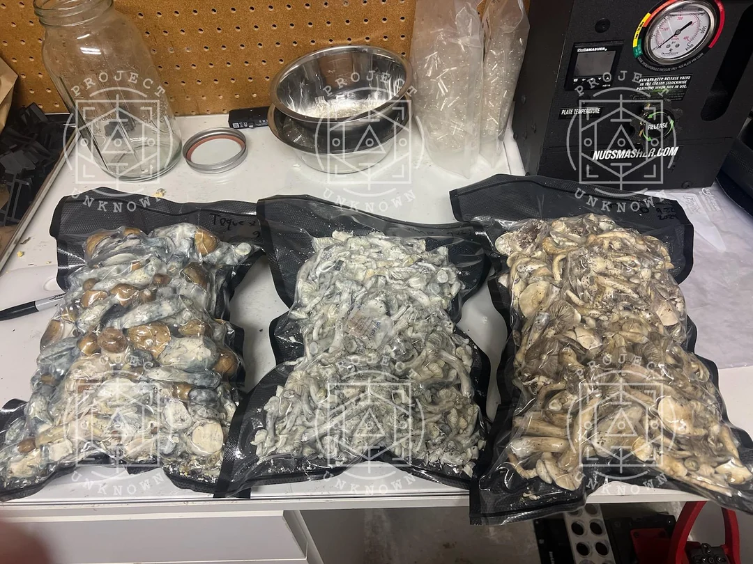 where to buy magic mushrooms UK