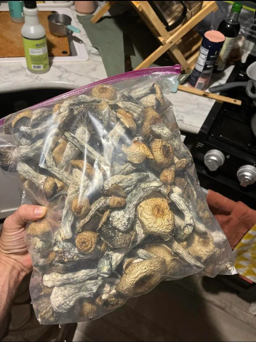 magic mushrooms in Bath and North East Somerset